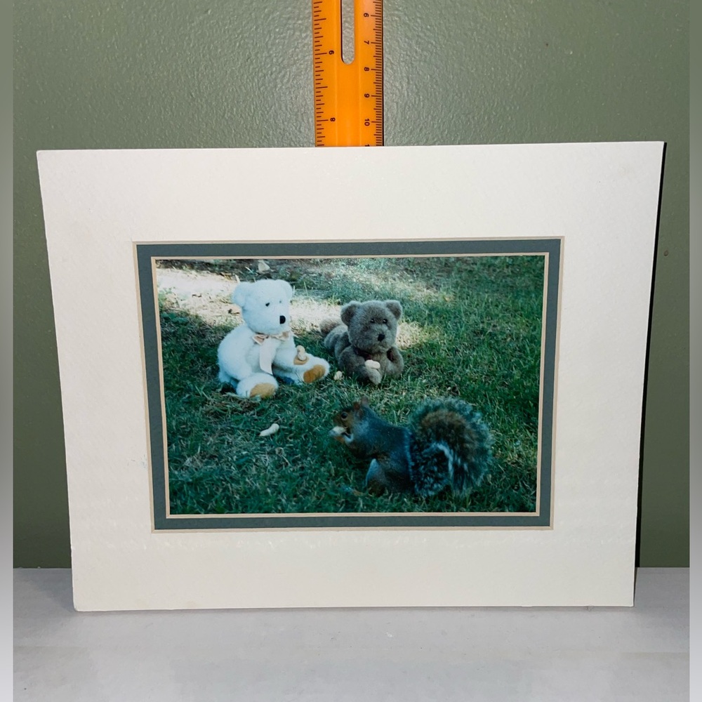 🧸Boyd’s Bears Bear Photo - White and Brown